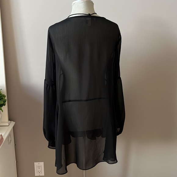 Sheer Babydoll Blouse/Dress - Picture 3 of 6